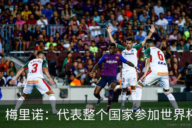 梅里诺：代表整个国家参加世界杯是一种荣耀，这真的是梦想成真